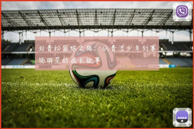 刘青松篮球之路：从青涩少年到赛场明星的成长故事